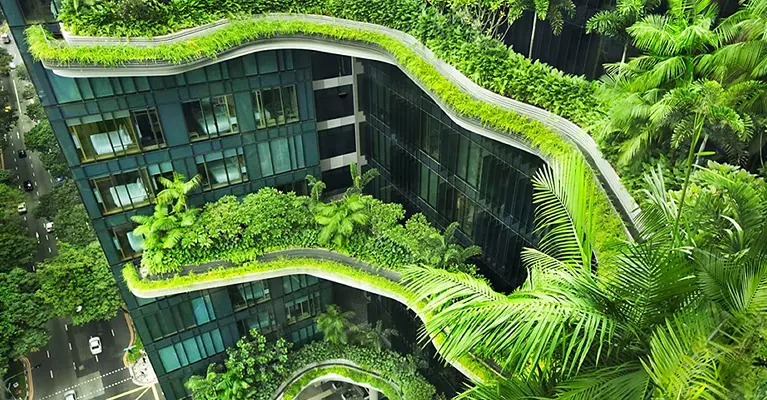دور مكاتب الهندسة في التنمية المستدامة